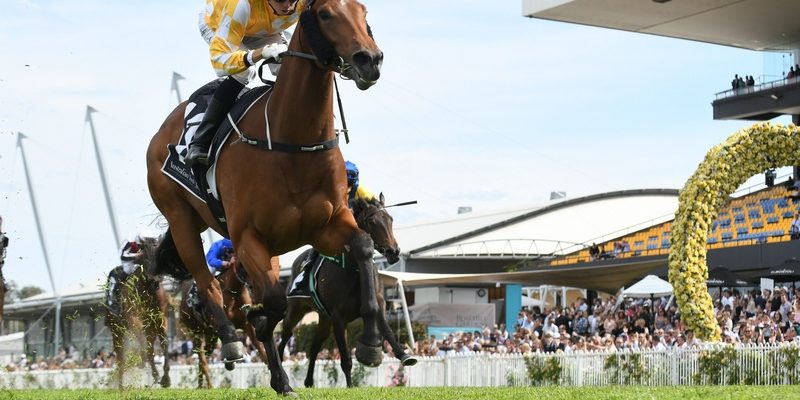 Dame Giselle claims the first running of the Golden Gift