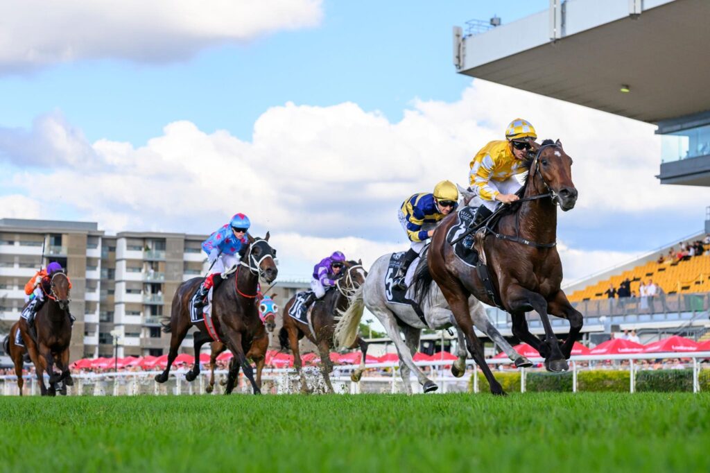 SIR DELIUS delights on Australian Debut – Could he be the Cup Contender Sir Owen has coveted?