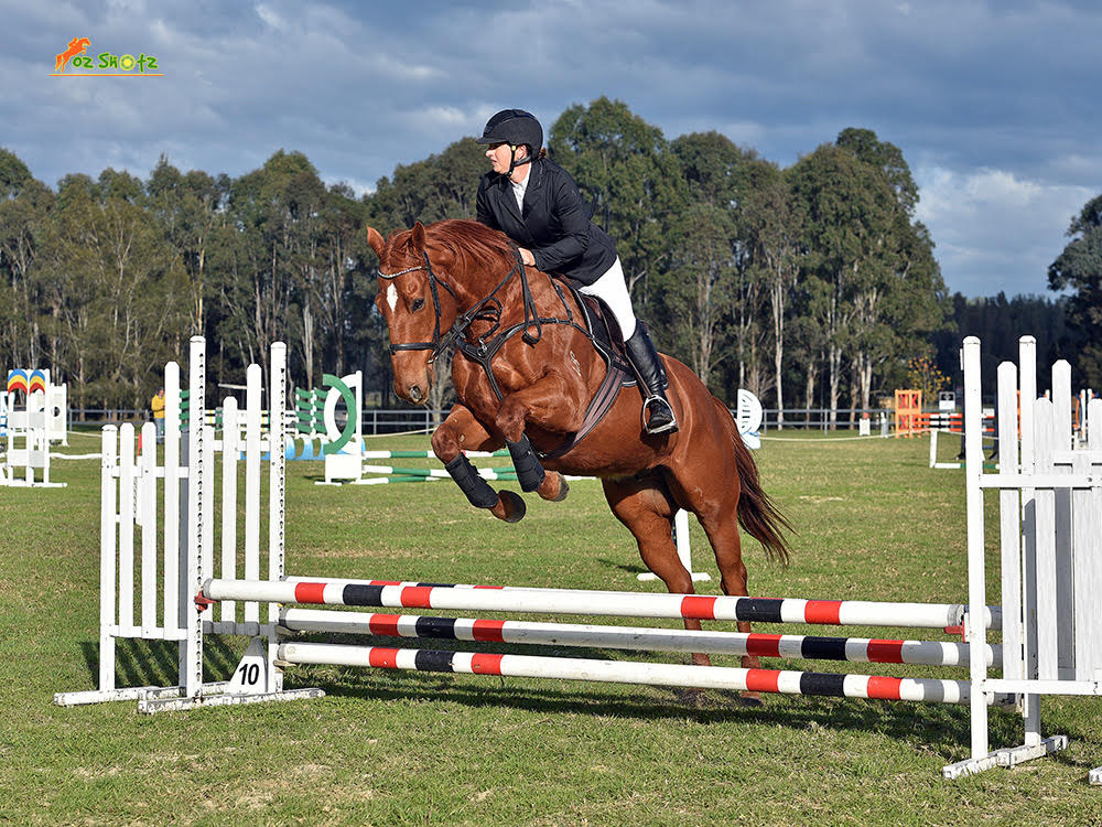 Rehomed BLAZE A TRAIL stars in Grand Prix - Enjoying new lease of life