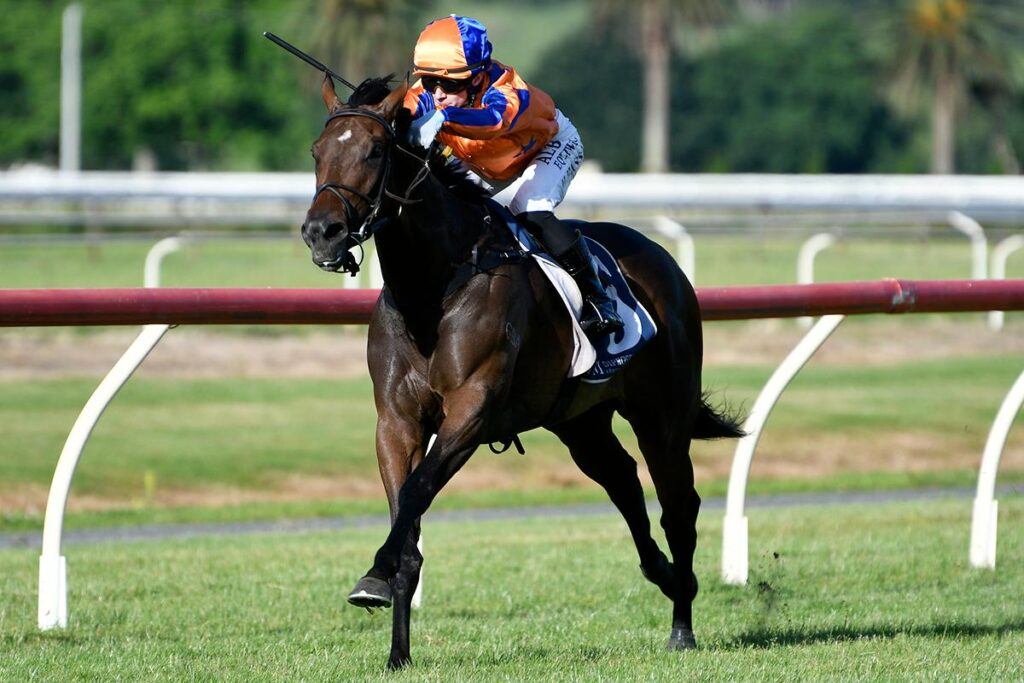 PARAVANE – Winning return for our sibling to exciting young sire SWORD OF STATE