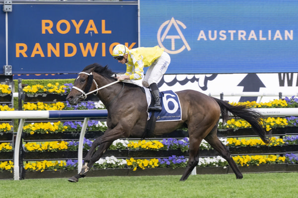 WOOTTON VERNI dominant in Rosehill Gold Cup – Another Gr.1 staying star for Sir Owen in 2026