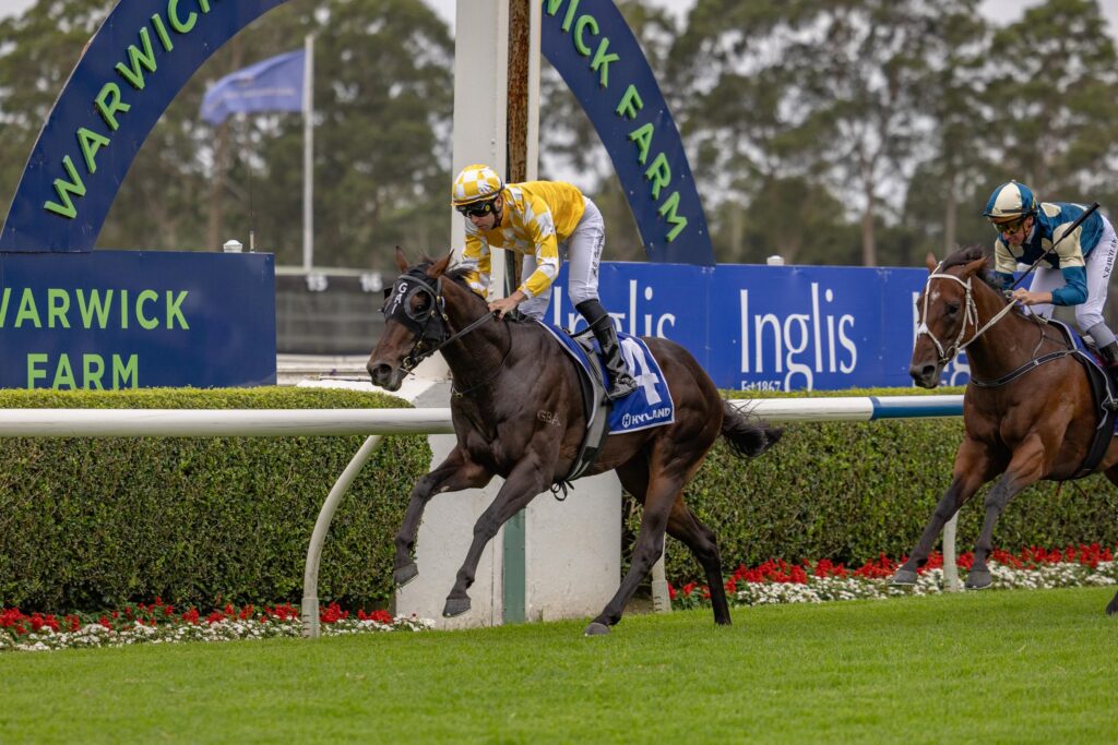 Racing Report - Regally bred LANCELOT DU LAC wins again in tough performance & Go Bloodstock bred TORTURE placed in Karaka Millions 2yo