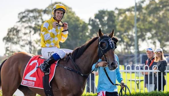 Front Rank (Canto Win)