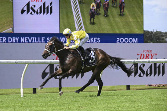 Wootton Verni Sellwood Stakes Winning