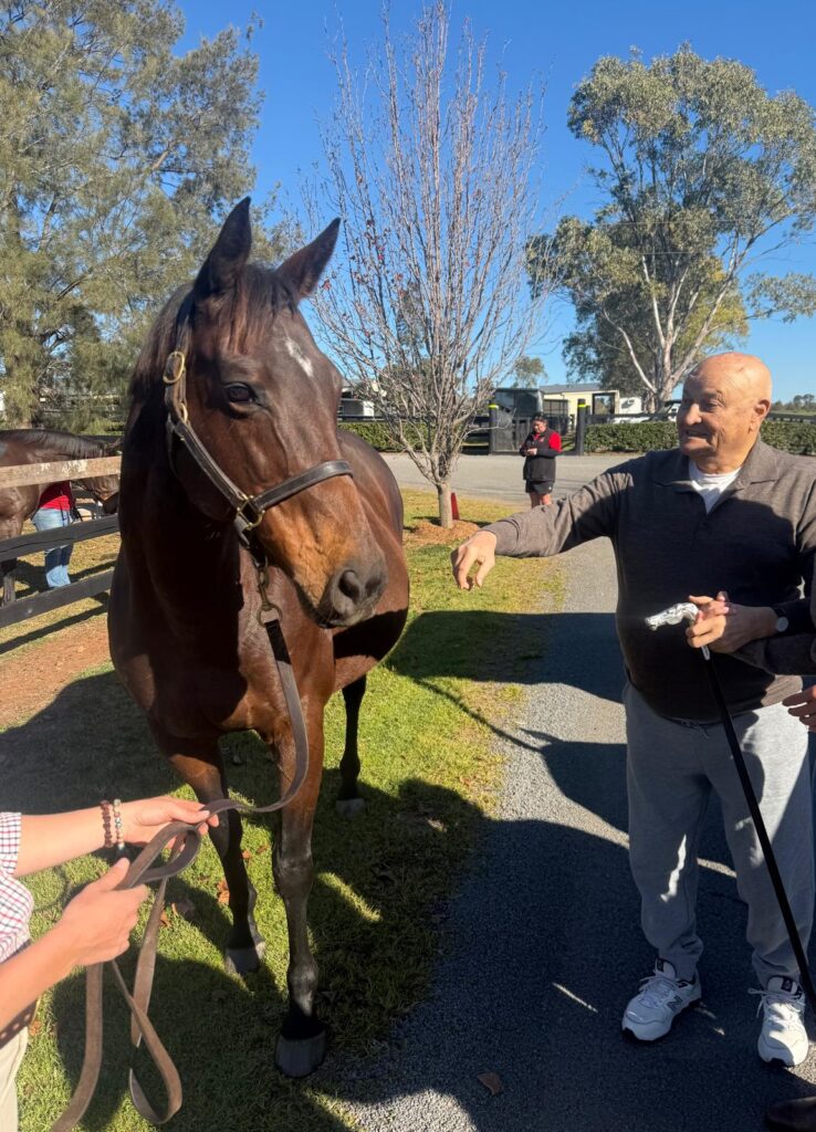 Always a special trip to the Hunter Valley! 🌿🐎